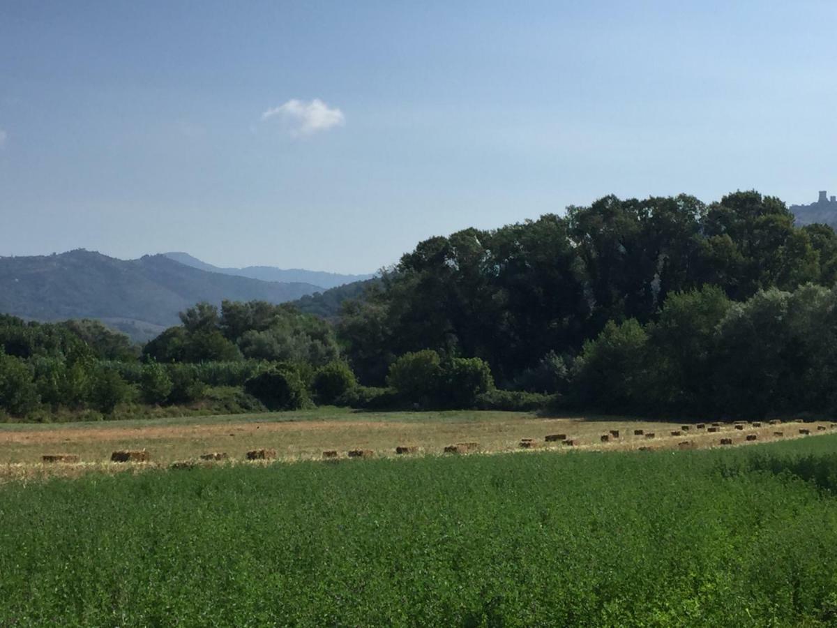 B&B La Nonnina Del Cilento Casal Velino Eksteriør billede