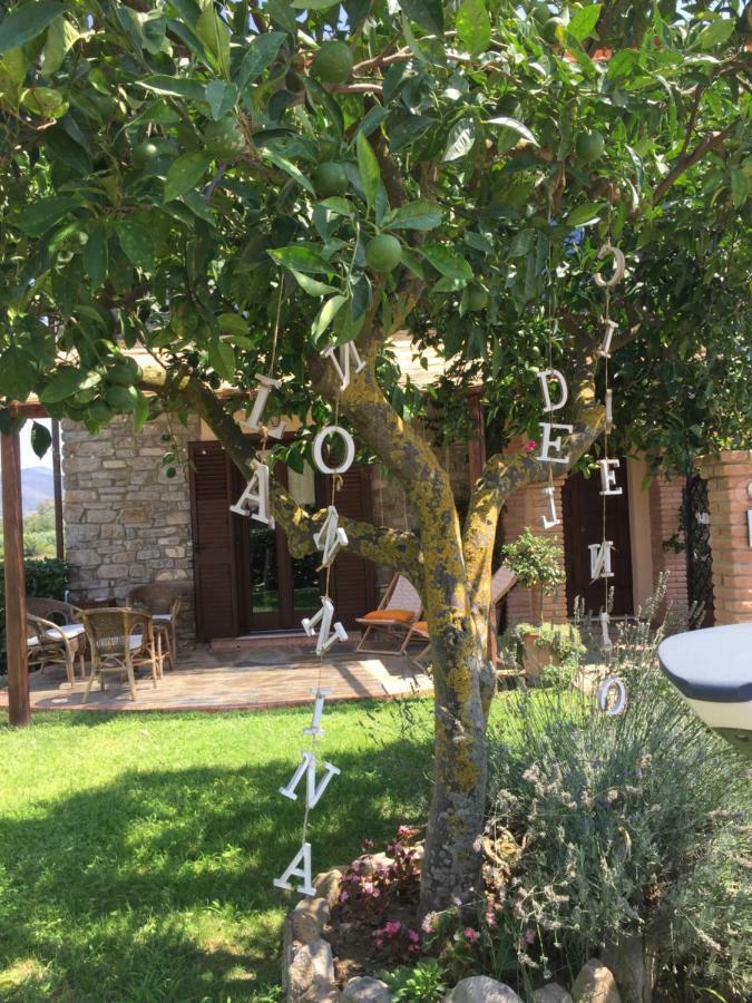 B&B La Nonnina Del Cilento Casal Velino Eksteriør billede